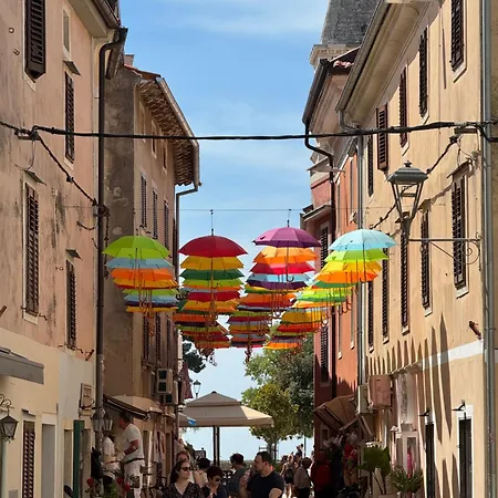Old Novigrad Istria