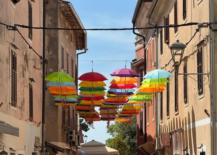 Old Novigrad Istria
